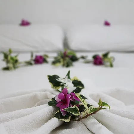Okyanus Hotel 2*