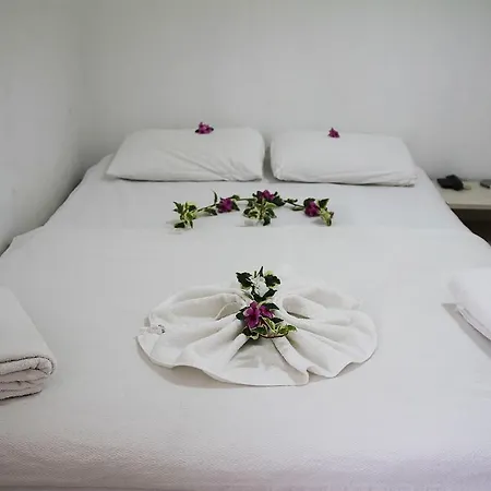 Okyanus ホテル 2*